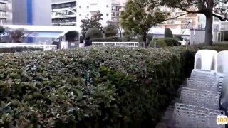 91视频短片,成人视频高清免费观看